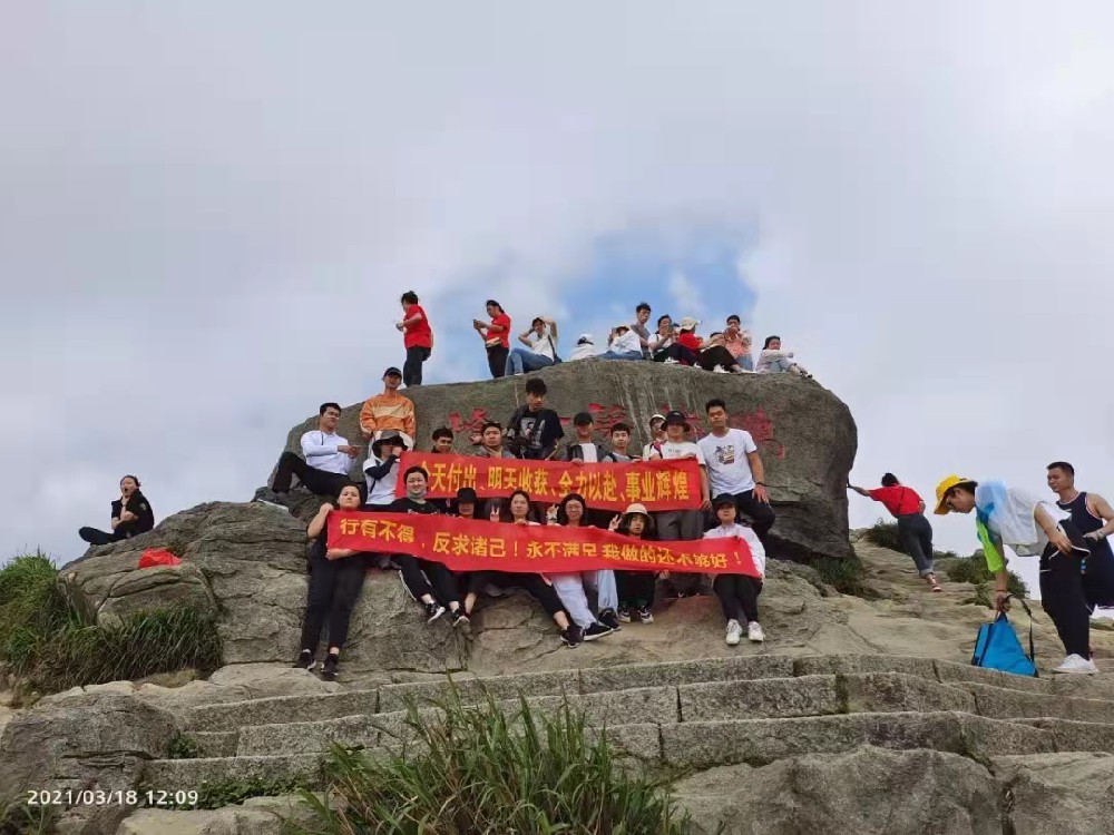 梧桐山登高大赛，一起去看满山杜娟