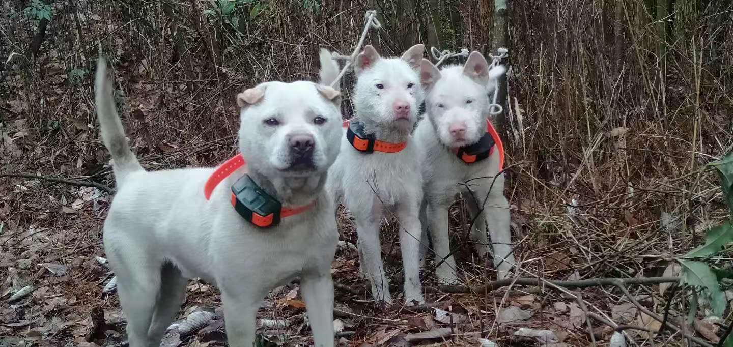 1736474598130393.jpg 7acbb389e6d552821c6f8c003465978.jpg