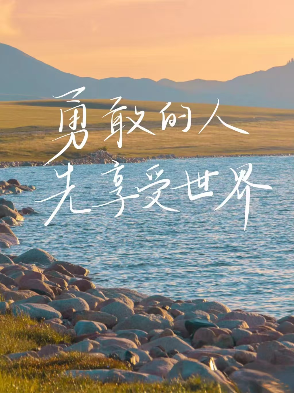 1736479008176215.jpg 342238d213405ce9ac0db38479e57f5.jpg