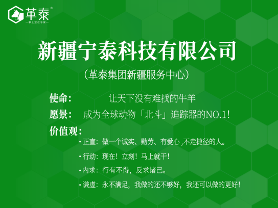 1763710560595624.png image.png