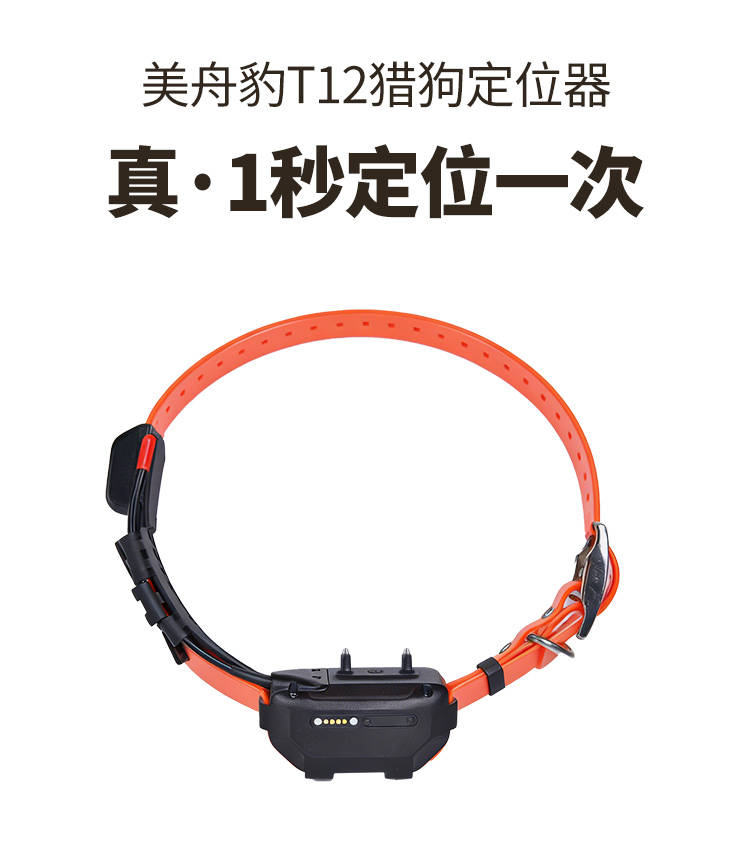 T11(8-18)详情_02.jpg