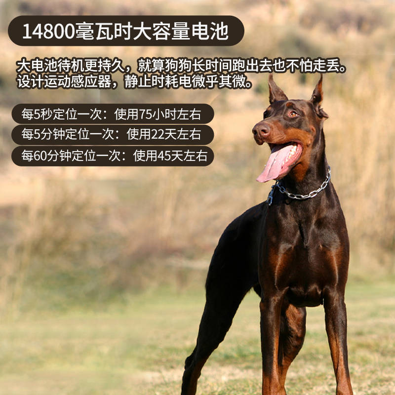 画板 1 拷贝 9.jpg