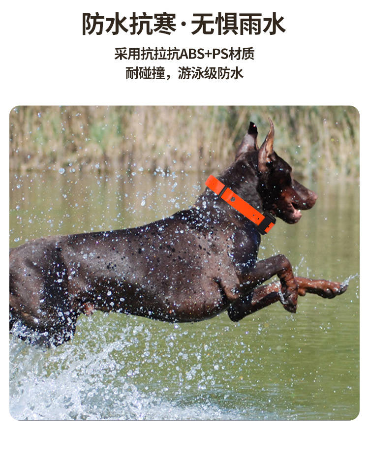 T11(8-18)详情_14.jpg